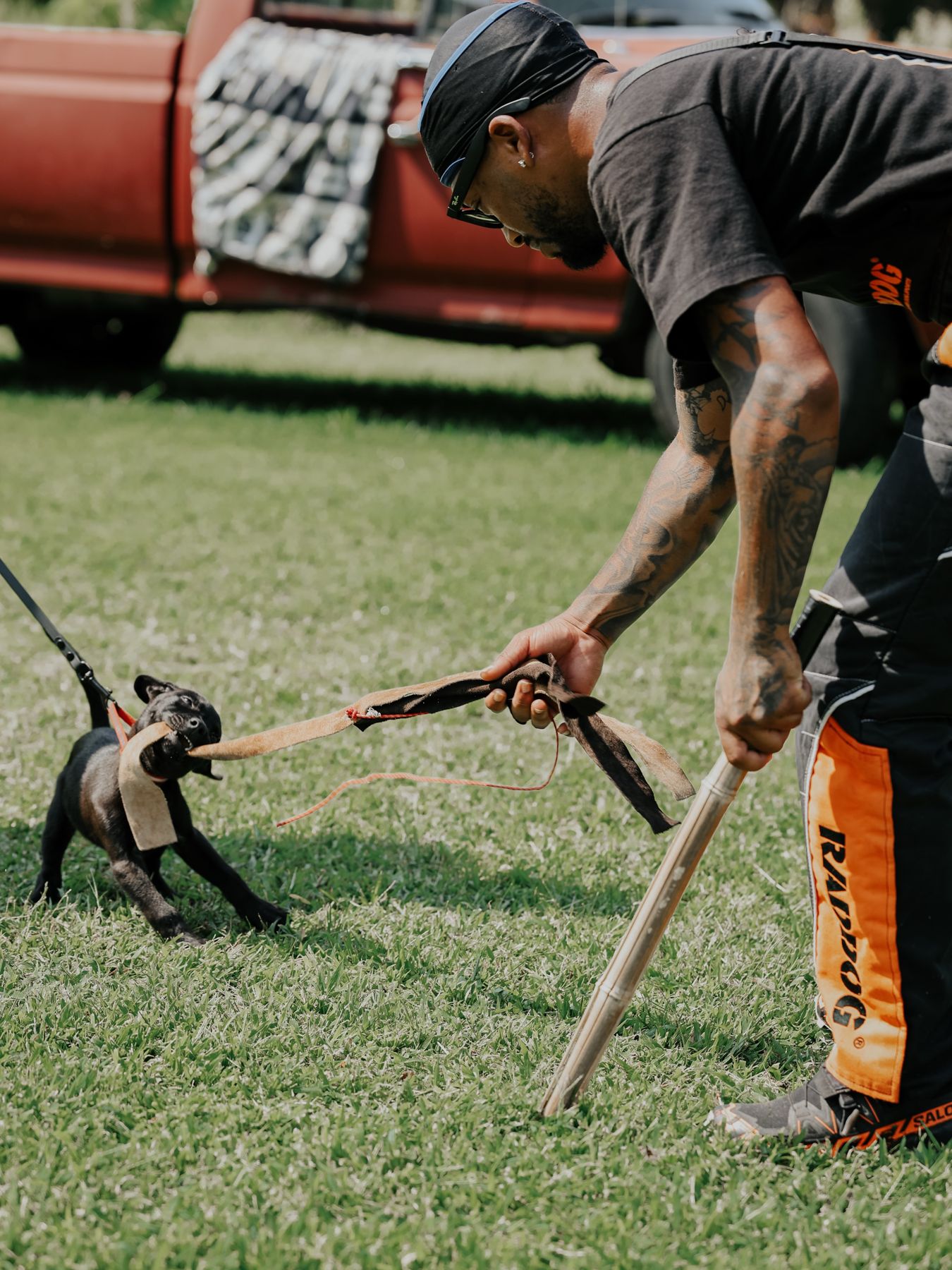 Dog tugging a stick with its handler